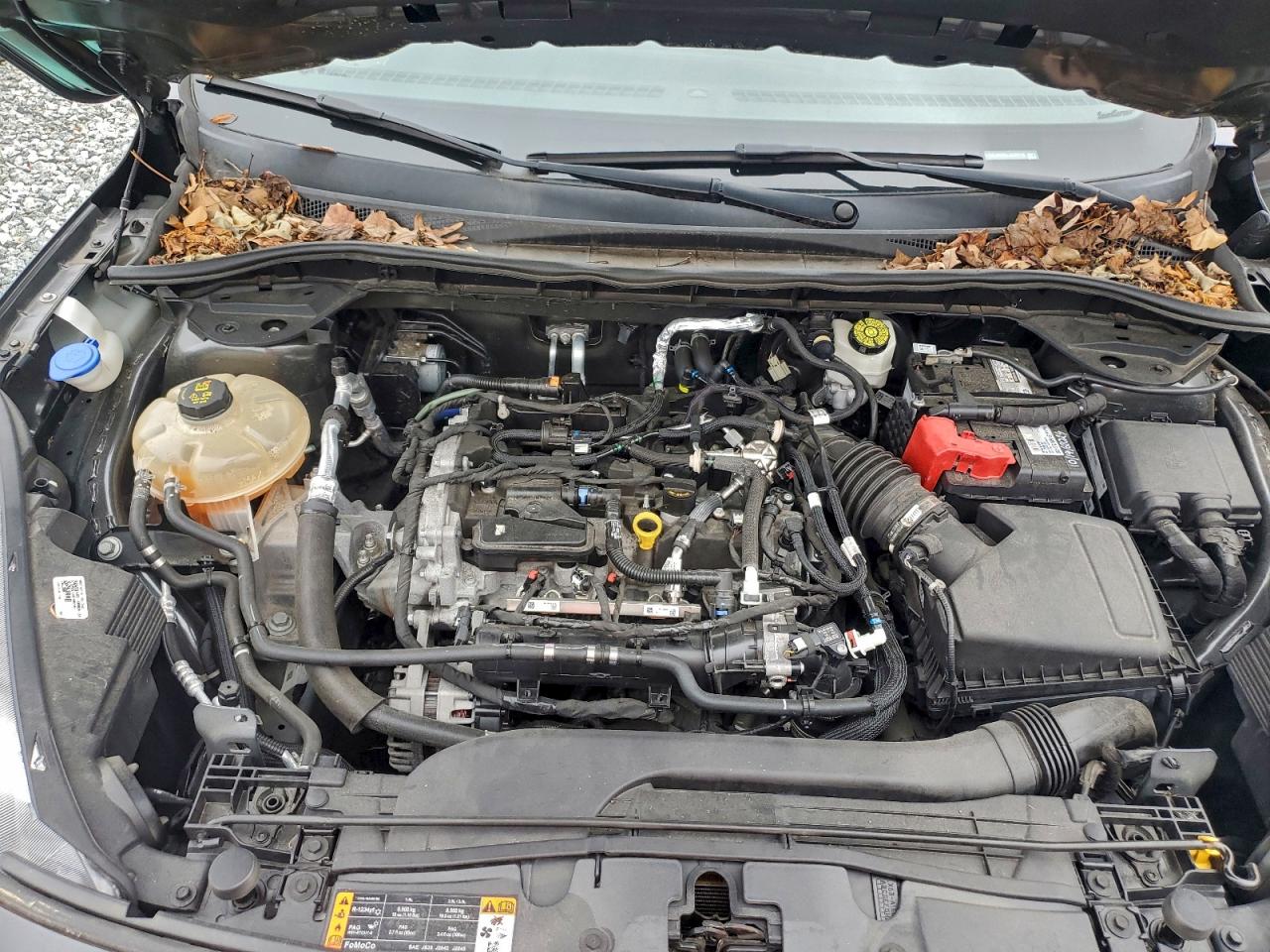 Ford Escape Se Image 11