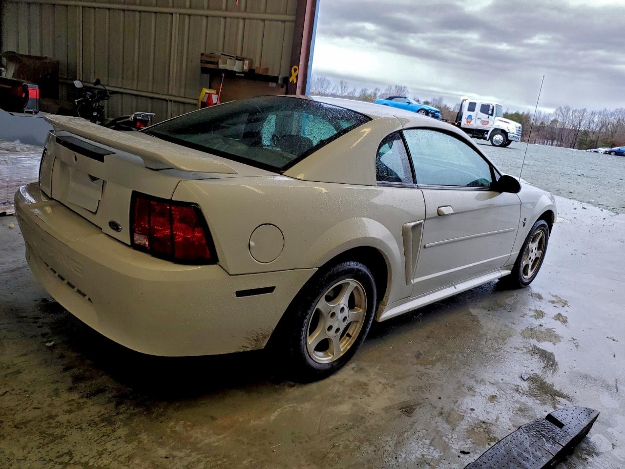 Ford Mustang Image 6