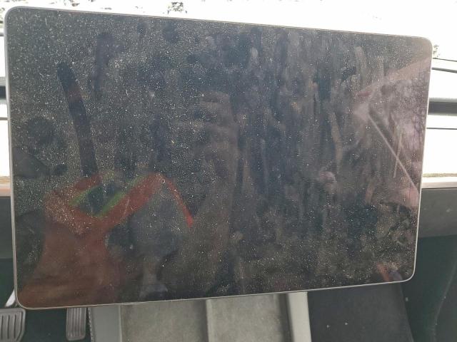 Tesla Model Y Image 4