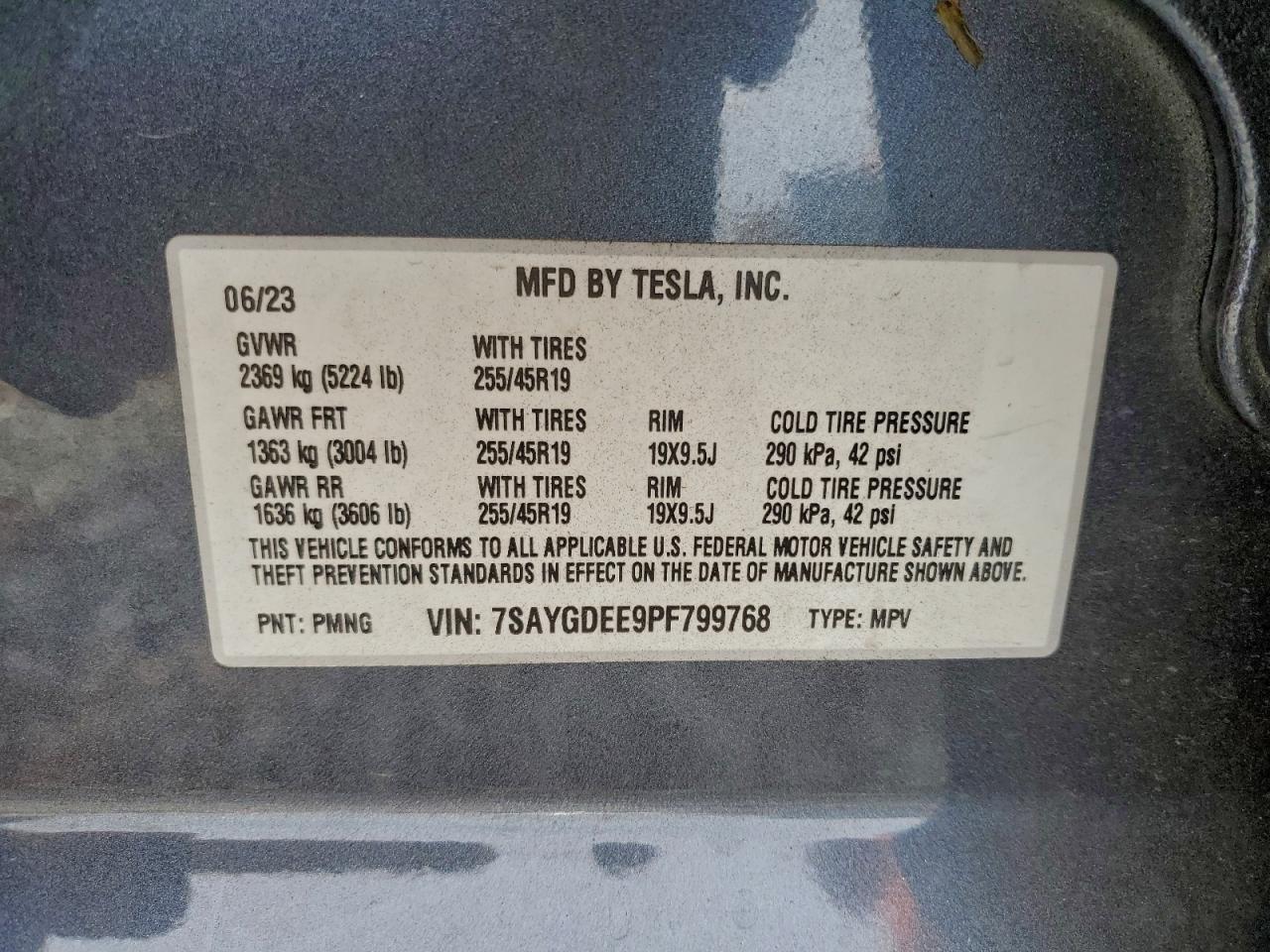 Tesla Model Y Image 12
