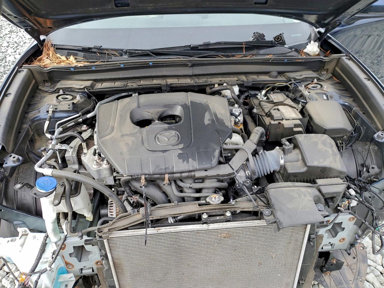 Mazda Cx Preferred Image 12