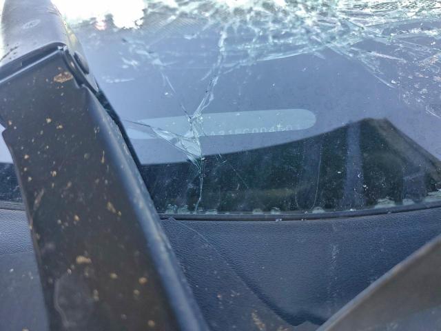 Volkswagen Passat Sel Image 6